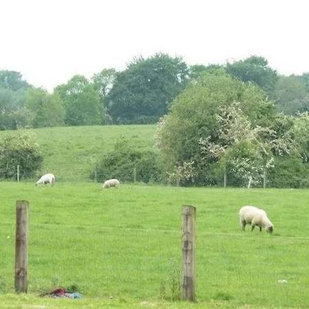 Eaglehill 5*